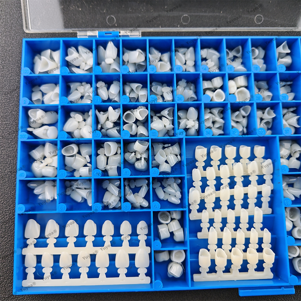 1Set Dental Premolar Molars An - Teeth Whitening Moulds review and price