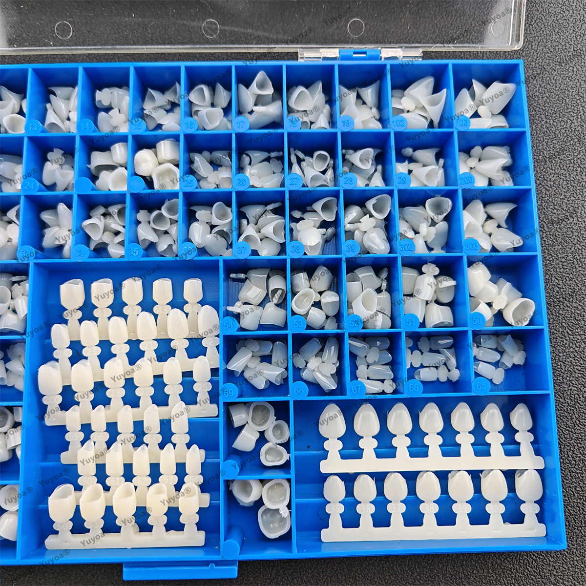 1Set Dental Premolar Molars An - Teeth Whitening Moulds review and price