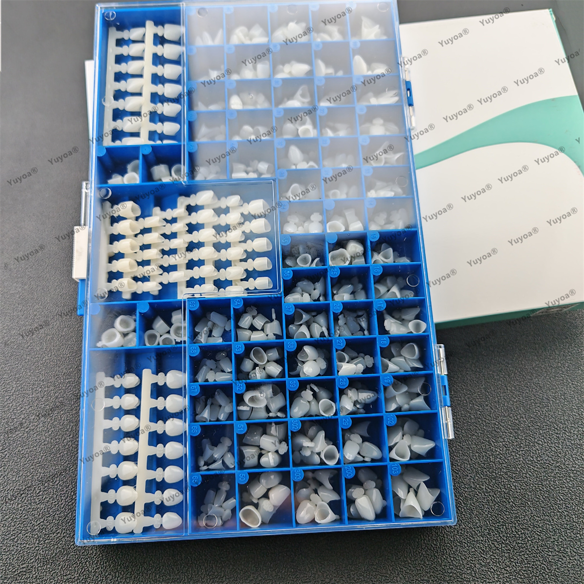 1Set Dental Premolar Molars An - Teeth Whitening Moulds review and price